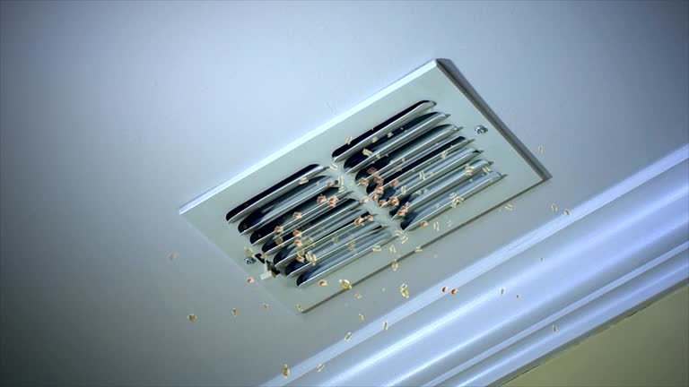 Best Home Air Vent Cleaning  in Velva, ND