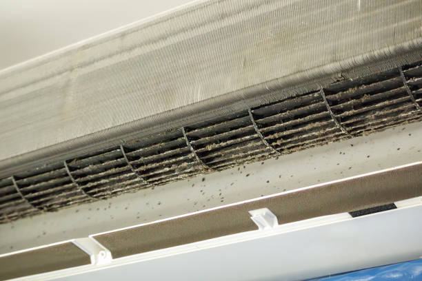 Best Affordable HVAC Duct Cleaning  in Velva, ND